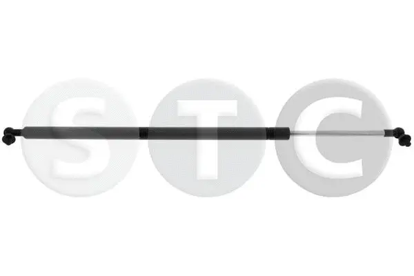 Gas Spring, rear window (T446528)