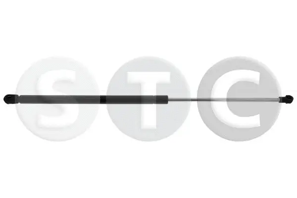 Gas Spring, boot/cargo area (T446464)