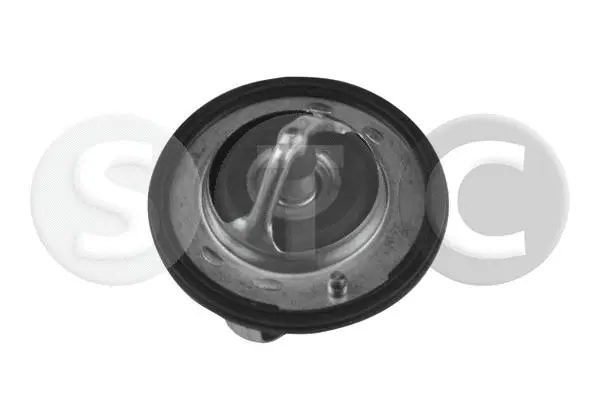 Thermostat, coolant (T431276)