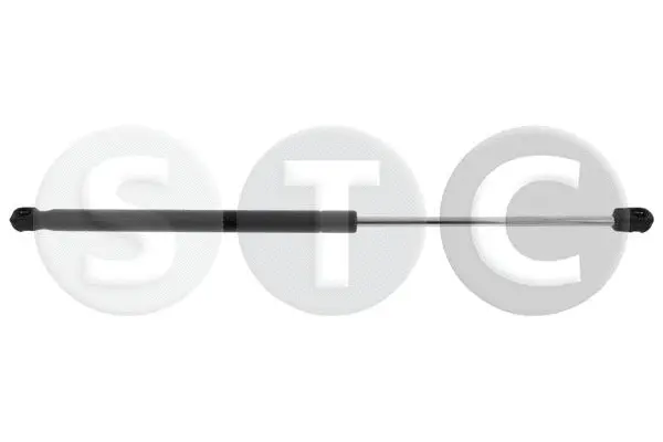 Gas Spring, boot/cargo area (T446354)