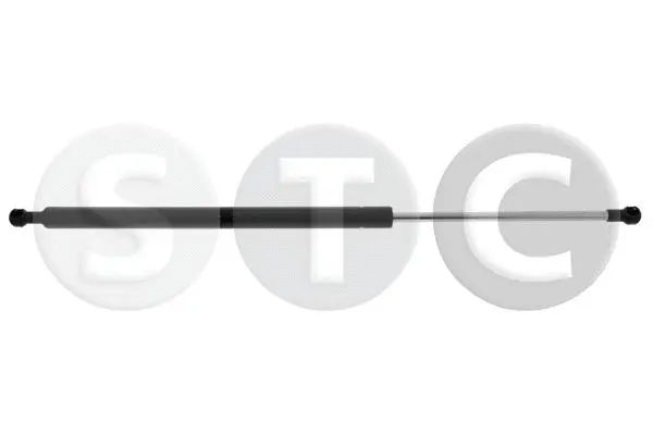 Gas Spring, boot/cargo area (T446797)