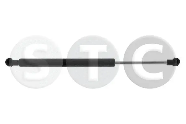 Gas Spring, rear window (T446597)