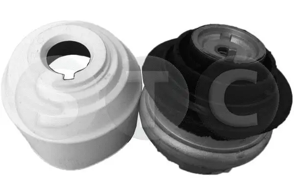 Mounting, engine (T457648)