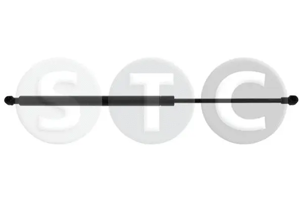 Gas Spring, boot/cargo area (T446532)