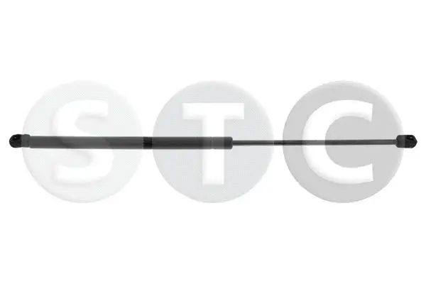 Gas Spring, boot/cargo area (T446495)