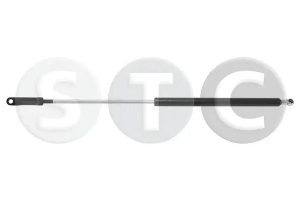 Gas Spring, boot/cargo area (T446191)