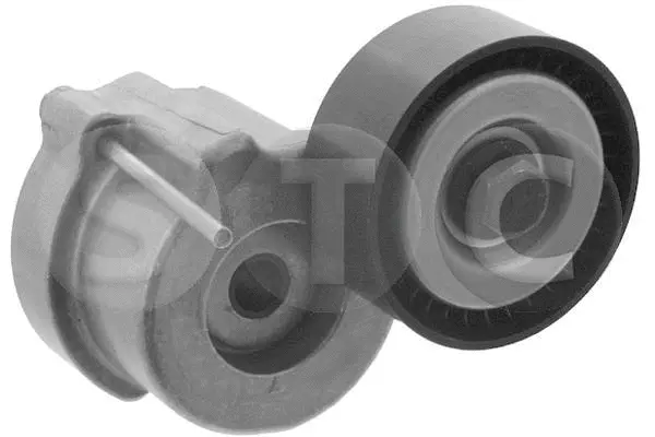 Repair Kit, v-ribbed belt tensioner (T414292)
