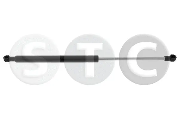 Gas Spring, boot/cargo area (T446246)