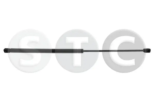 Gas Spring, boot/cargo area (T446391)