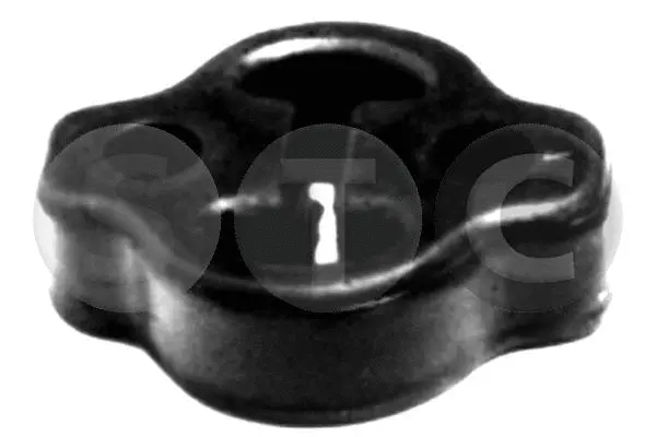 Mount, exhaust system (T441015)