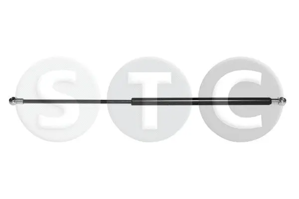 Gas Spring, boot/cargo area (T446543)