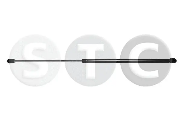 Gas Spring, bonnet (T446859)