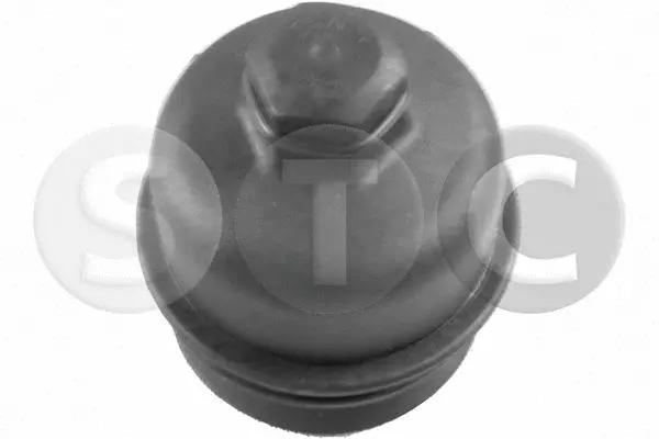 Cap, oil filter housing (T403839)