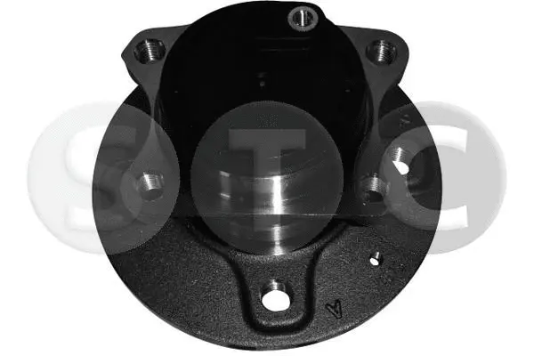 Wheel Hub (T490084)