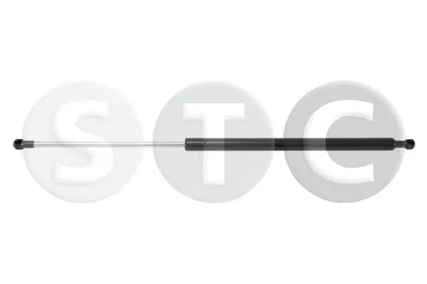 Gas Spring, boot/cargo area (T446327)