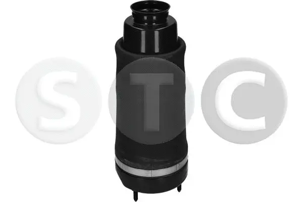 Air Spring, suspension