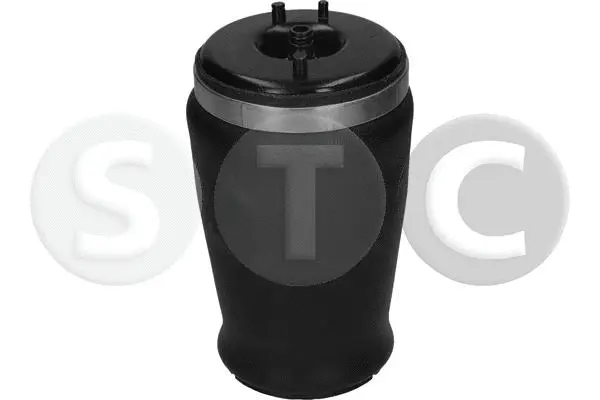 Air Spring, suspension (T442968)
