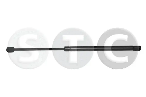 Gas Spring, boot/cargo area (T446710)