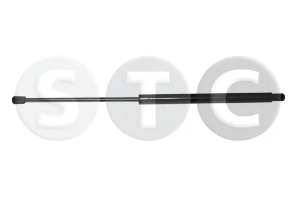Gas Spring, boot/cargo area (T446357)