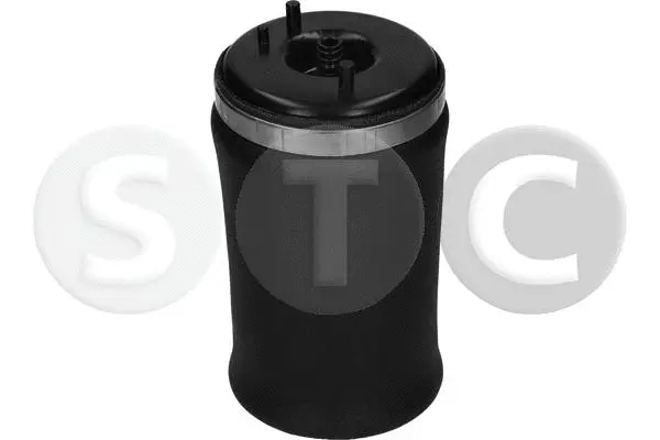 Air Spring, suspension (T442967)