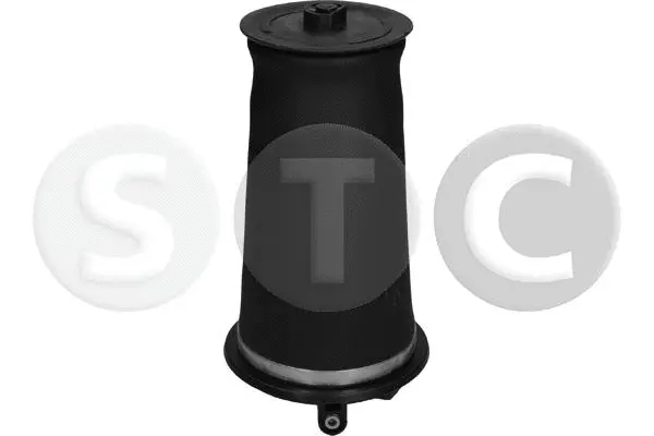 Air Spring, suspension (T442980)