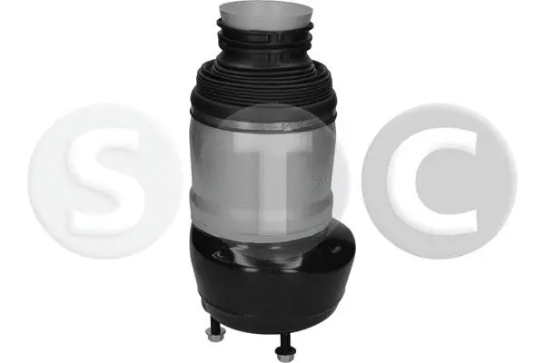 Air Spring, suspension
