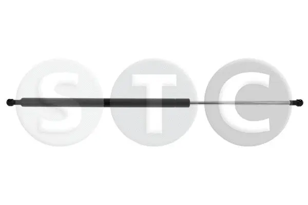 Gas Spring, boot/cargo area (T446335)