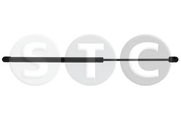 Gas Spring, boot/cargo area (T446895)