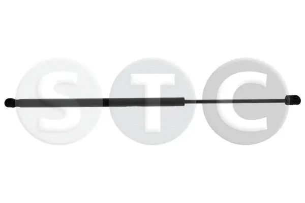 Gas Spring, boot/cargo area (T446453)