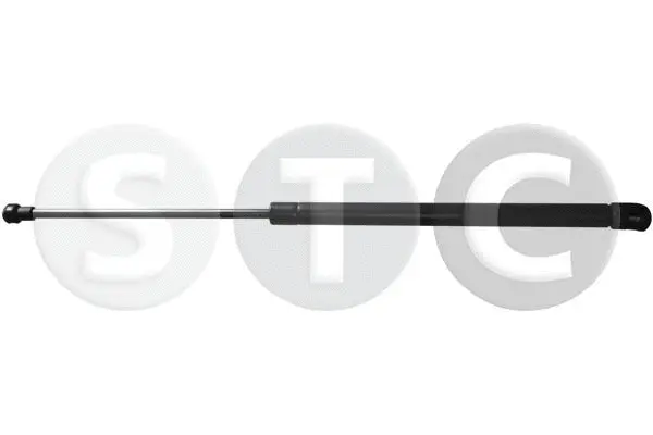 Gas Spring, boot/cargo area (T446393)