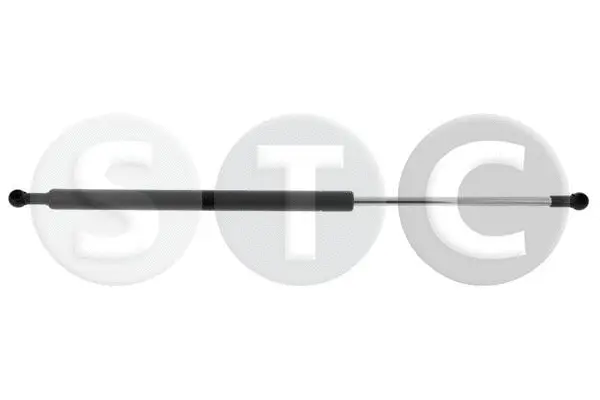 Gas Spring, boot/cargo area (T446321)