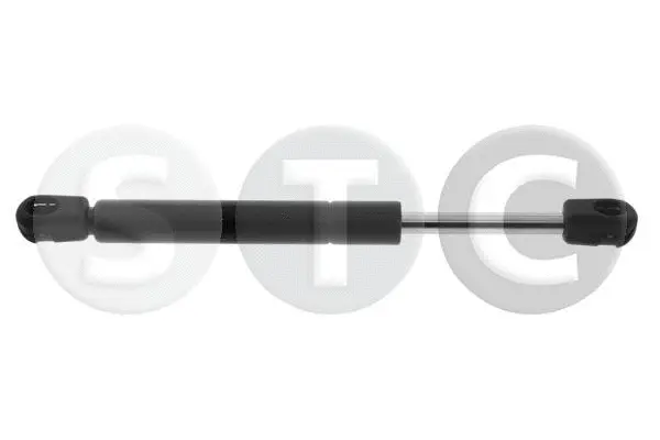 Gas Spring, rear window (T446455)