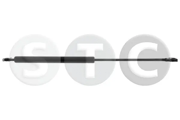 Gas Spring, bonnet (T446228)