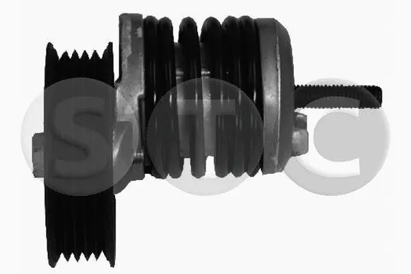 Belt Tensioner, V-ribbed belt (T404945)