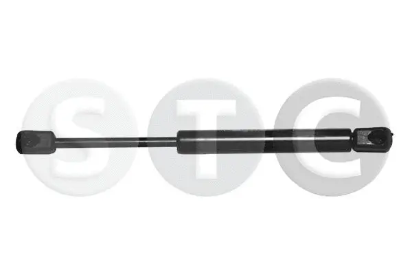 Gas Spring, boot/cargo area (T446814)
