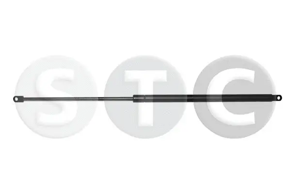 Gas Spring, bonnet (T446709)