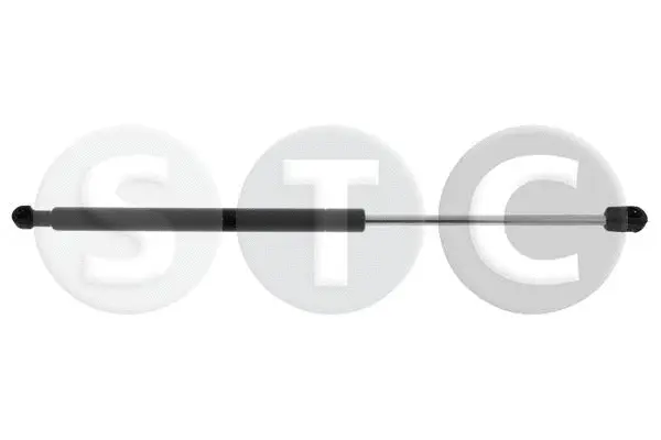 Gas Spring, boot/cargo area (T446235)