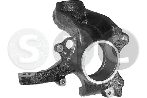 Steering Knuckle, wheel suspension (T490482)