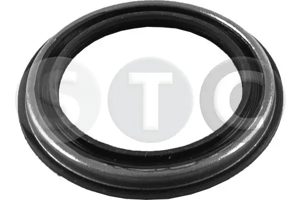 Shaft Seal, wheel hub (T439365)