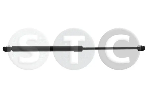 Gas Spring, boot/cargo area (T446291)