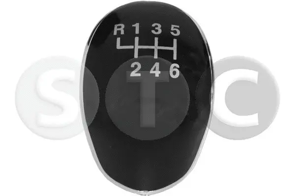 Gear Shift Lever Knob (T465118)