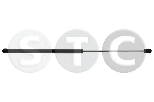 Gas Spring, bonnet (T446705)