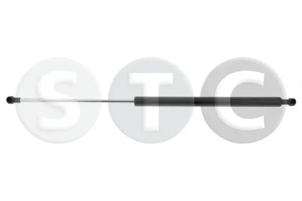 Gas Spring, boot/cargo area (T446382)