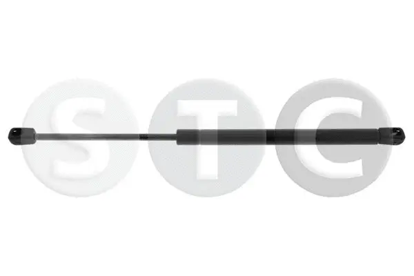 Gas Spring, boot/cargo area (T446125)