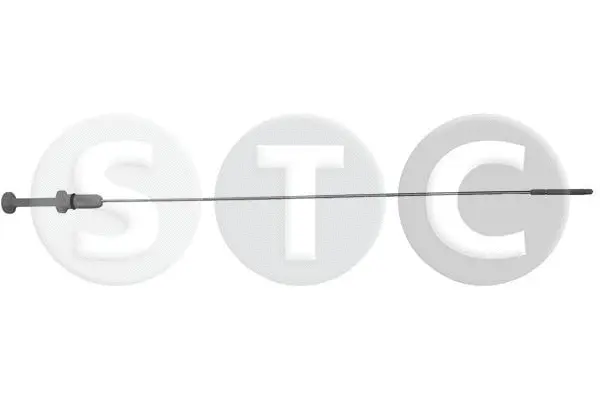 Oil Dipstick (T404593)