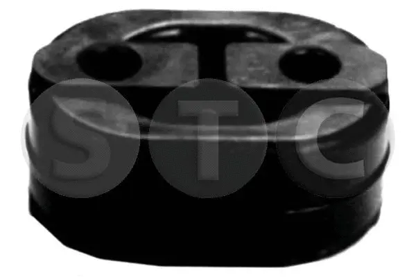 Mount, exhaust system (T441022)