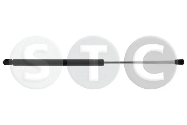 Gas Spring, boot/cargo area (T446628)