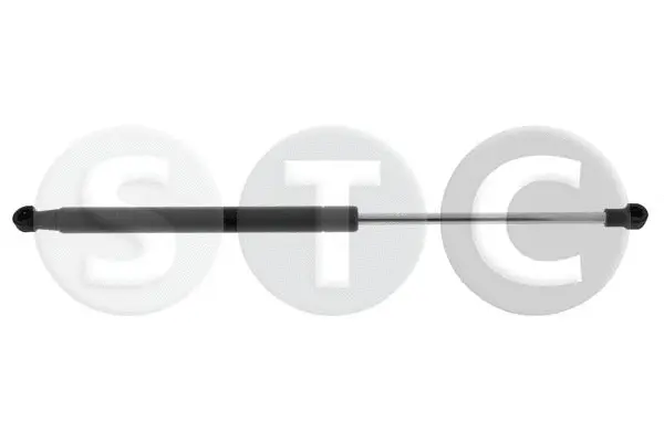 Gas Spring, bonnet (T446558)