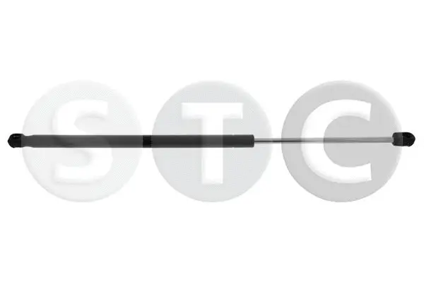 Gas Spring, boot/cargo area (T446460)