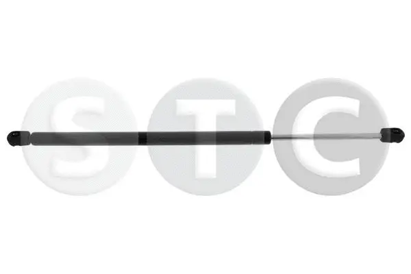 Gas Spring, boot/cargo area (T446439)